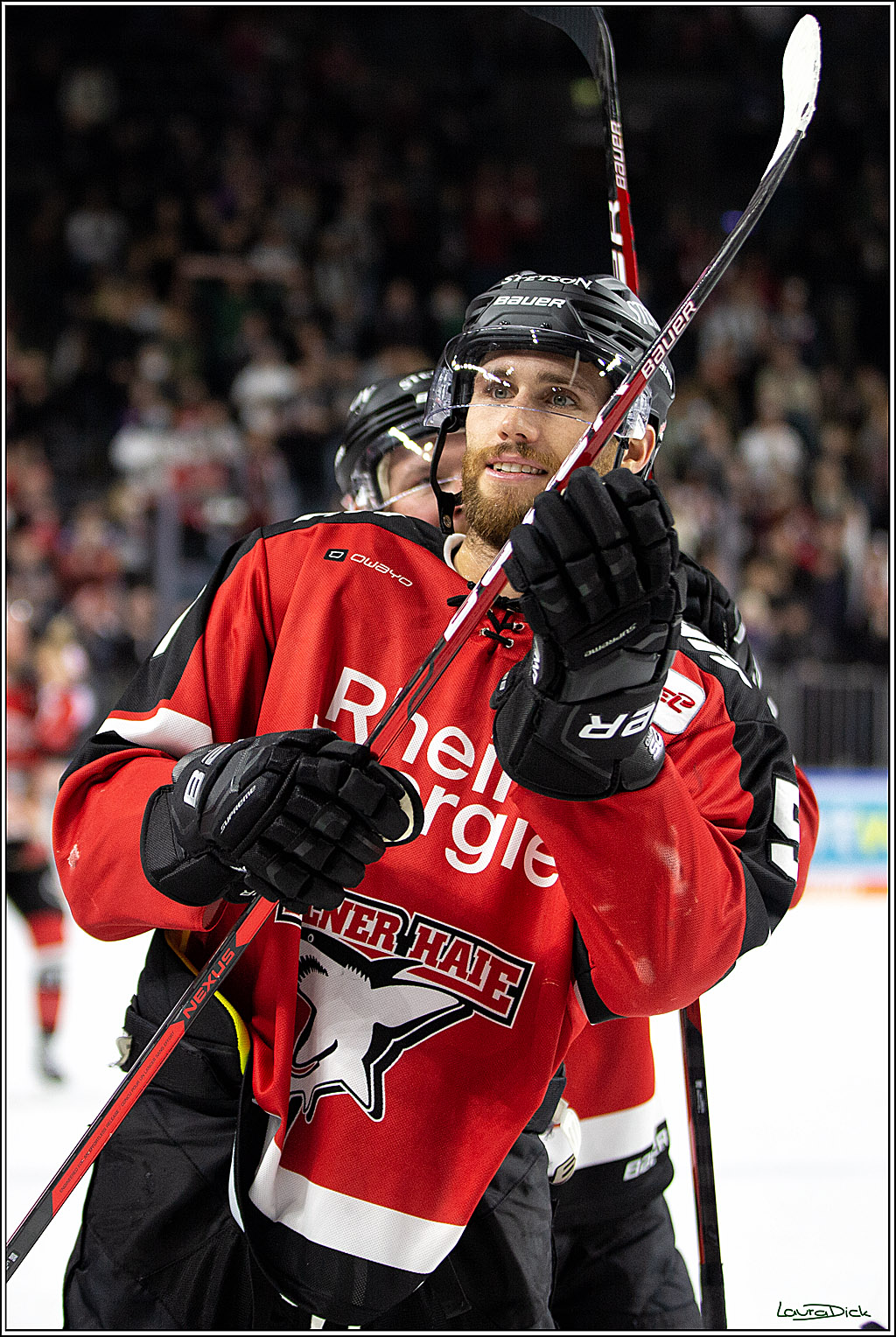 PENNY DEL; Koelner Haie- Bietigheim Steelers; Koeln, 19.11.2021